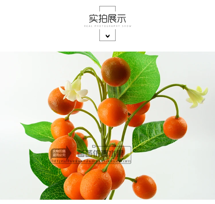 20181106_083738_285
