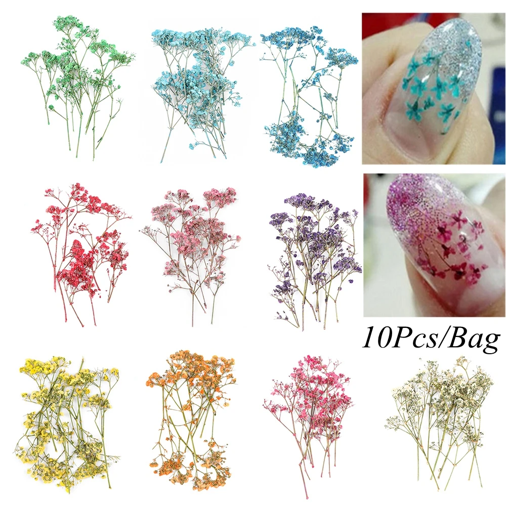 

10Pc/bag Mixed Color 3D Real Dried Babysbreath Flower Decor For UV Gel Nail Art Tips DIY Tools Women Fashion