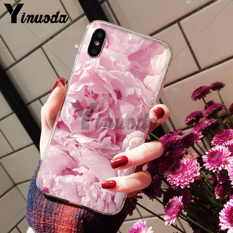 Flower Pink Peonies Peony