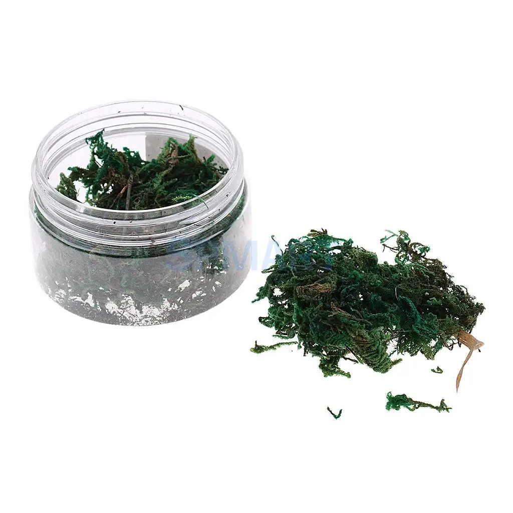100ML/500ML Dry Grass Model Moss for Layout Terrain Vegetation Diorama Building Toy