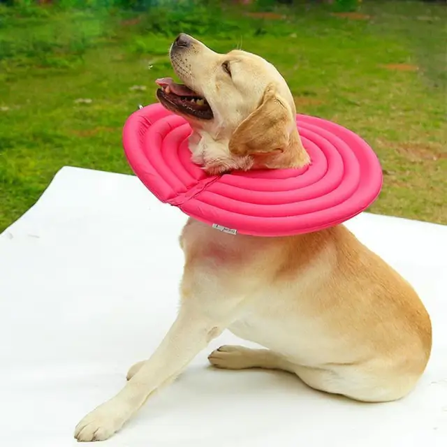 Pet Elizabethan Collar Anti bite Collar Dogs Cats Protective Hood Anti