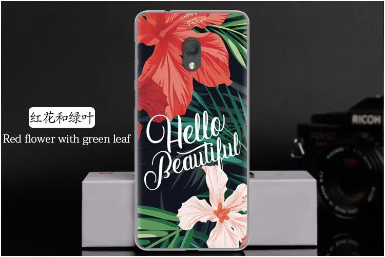 红花和绿叶 Red flower with green leaf