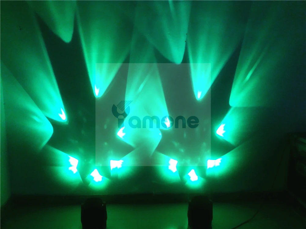 Bee eye 16