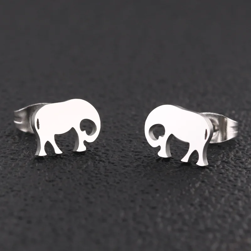 Stainless Steel Earrings