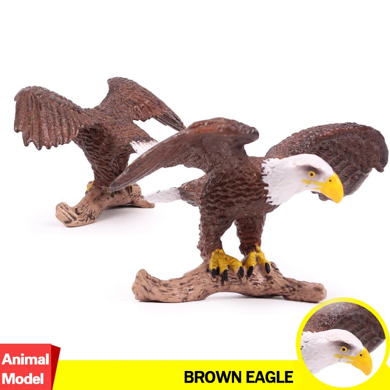 

Action&Toy Figure Wildlife Animal The Brown Eagle Simulation PVC Model Collectible Doll Figure Collection For Kid Children Gift