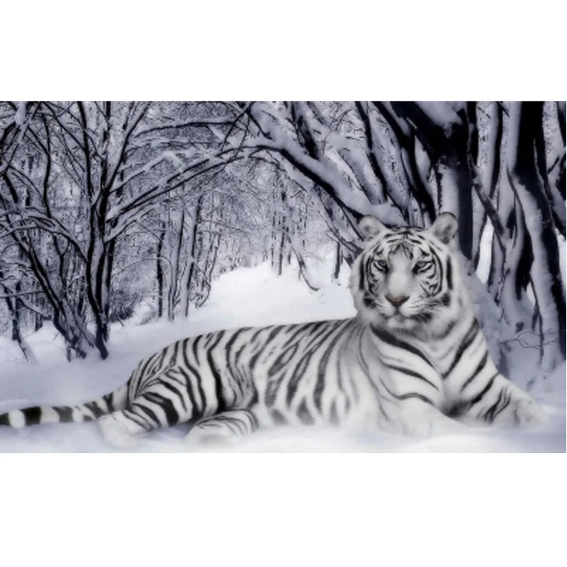 New Gifts Diamond Embroidery White Tiger Diy 5D Painting Animal Square Drill Rhinestone Full Mosaic Crafts Free Shipping | Дом и сад