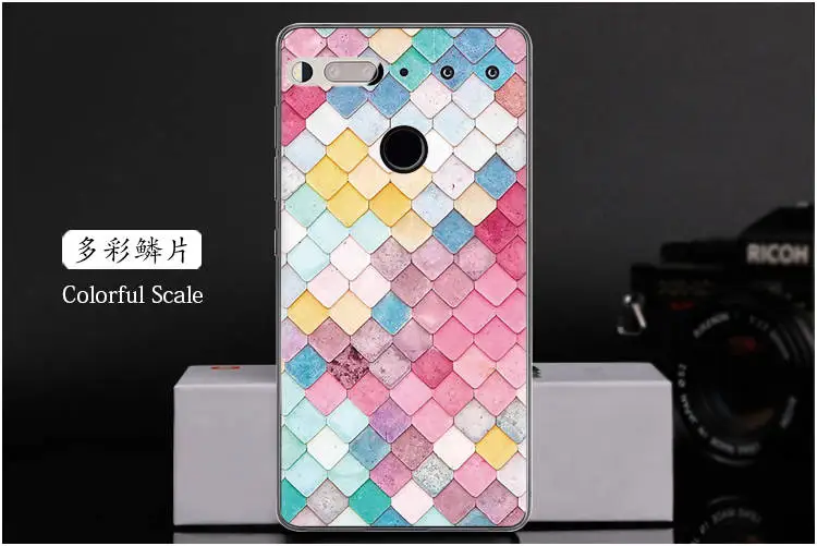  Colorful Scale