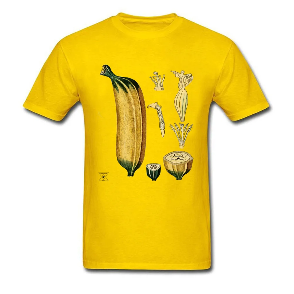 Cotton Fabric Men Short Sleeve Banana Plant Botanical Tropical Fruit T-shirts Slim Fit Tees 2018 Discount Normal O-Neck T Shirts Banana Plant Botanical Tropical Fruit yellow