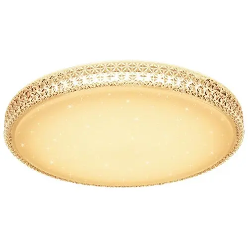 

50W LED Crystal Ceiling Starry Sky Warm White Stellar Light Ceiling Lamp Living Room Ceiling Light Corridor Bedroom