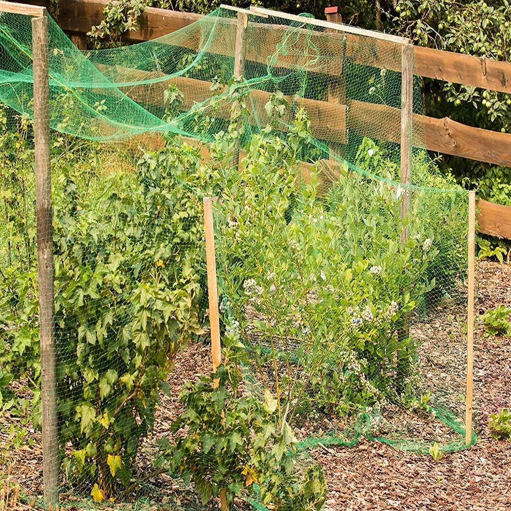  POND ANTI BIRD NET NETTING GARDEN PLANTS VEG FRUIT CROPS PLANTS FINE MESH FOR CROPS PLANTS FLOWERS VEG FRUITS SHIELD