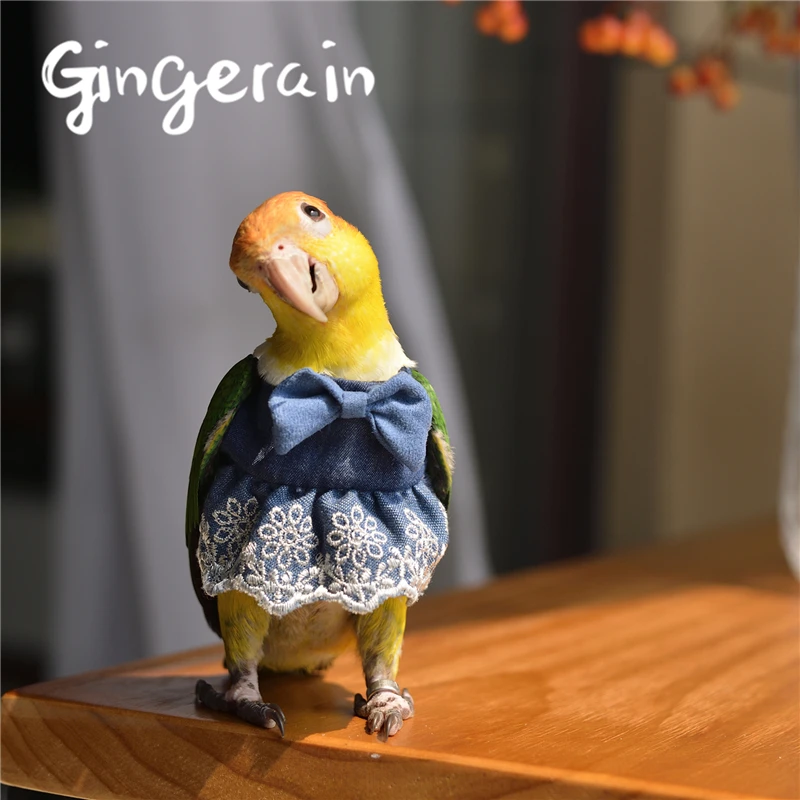 Gingerain одежда с птицами и попугаями оригинальная кружевная юбка пачка ручной
