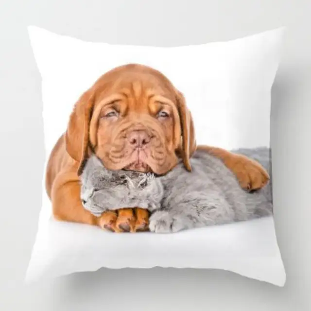 schone baby hund katze haustier kissen liebe kuss freundliche mich schone baby hund katze haustier kissen liebe kuss freundliche mich umarmen schlafen mops welpen spielen nette