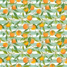 Laeacco Cartoon Stripes Oranges Lemon Pomegranate Baby Photography Background Customized Photographic Backdrops For Photo Studio