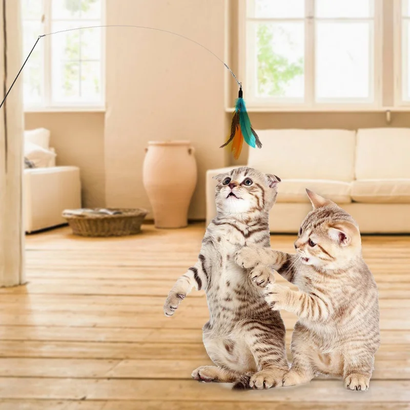 Interactive Toy for Teasing Cats Extensible Fishing Rod Cat Stick Best Gift For Pet Supplies Color Random Gatos | Дом и сад