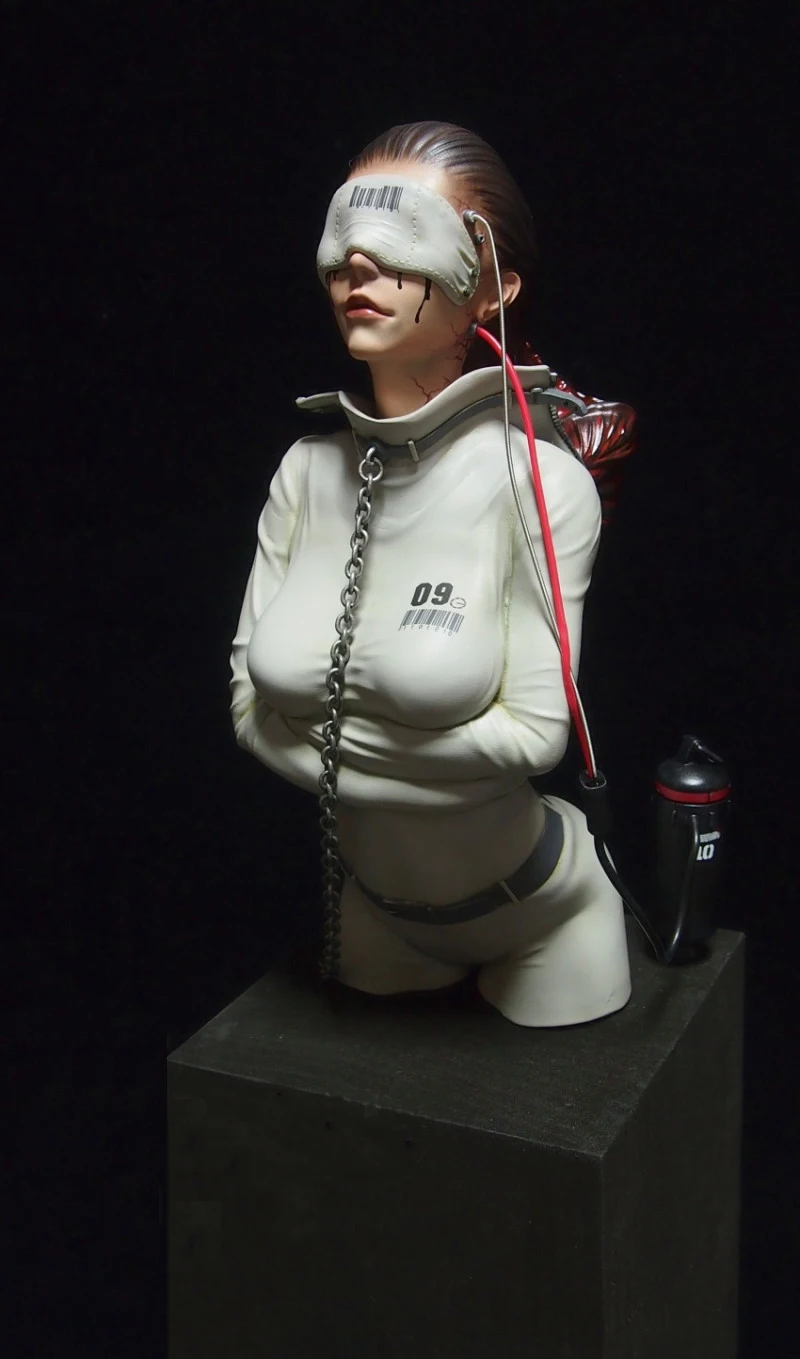 

1/6 Scale Unpainted Resin bust Experimental body NO.09 collection bust