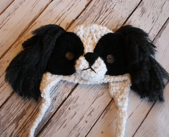 japanese chin baby