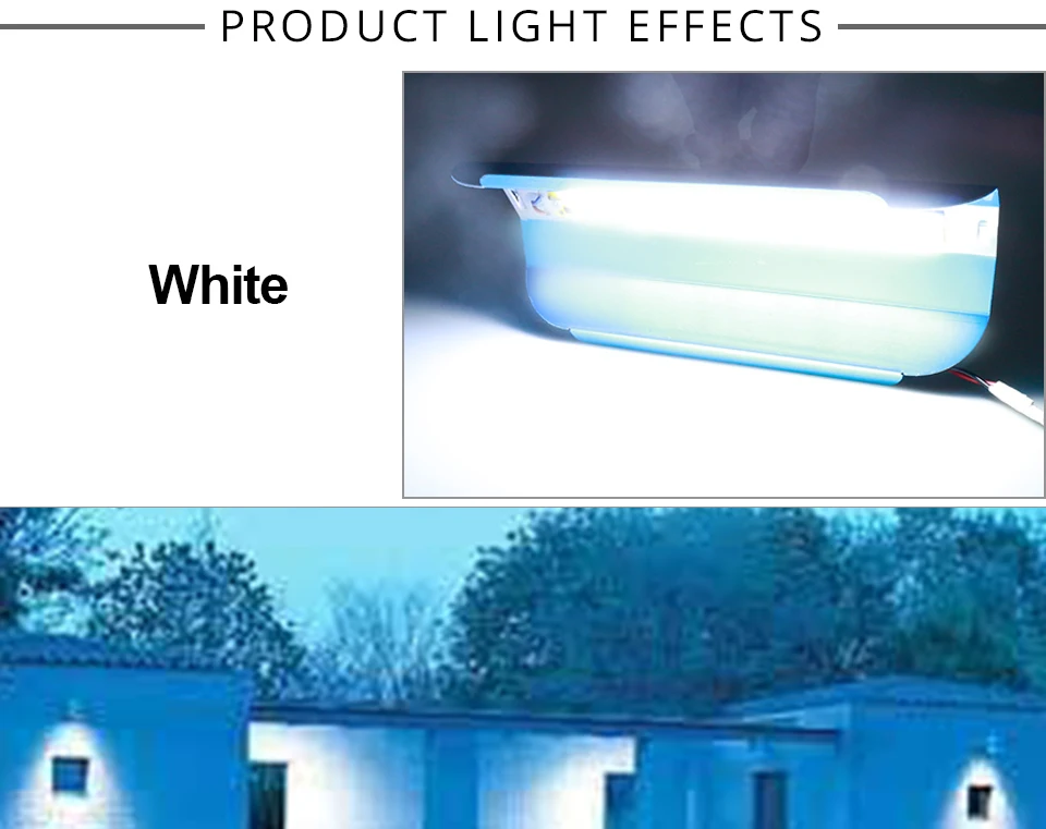 Phyto Lamps (6)