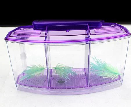 Petshy USB мини аквариумный аквариум с светодиодный светильник ЖК-дисплей экран и Часы Домашнее украшение аквариумный аквариум - Цвет: Style 2 - Purple