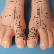 19 см рефлекторная зона для ног Массажная модель, не акупунктурная модель, китайский и английский код TCM ноги рефлексотерапия, 1 пара