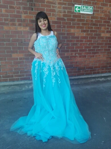 Favordear avordear Новая коллекция Quinceanera 15 лет Vestidos De 15 Anos Высокая шея Румяна Бальные платья