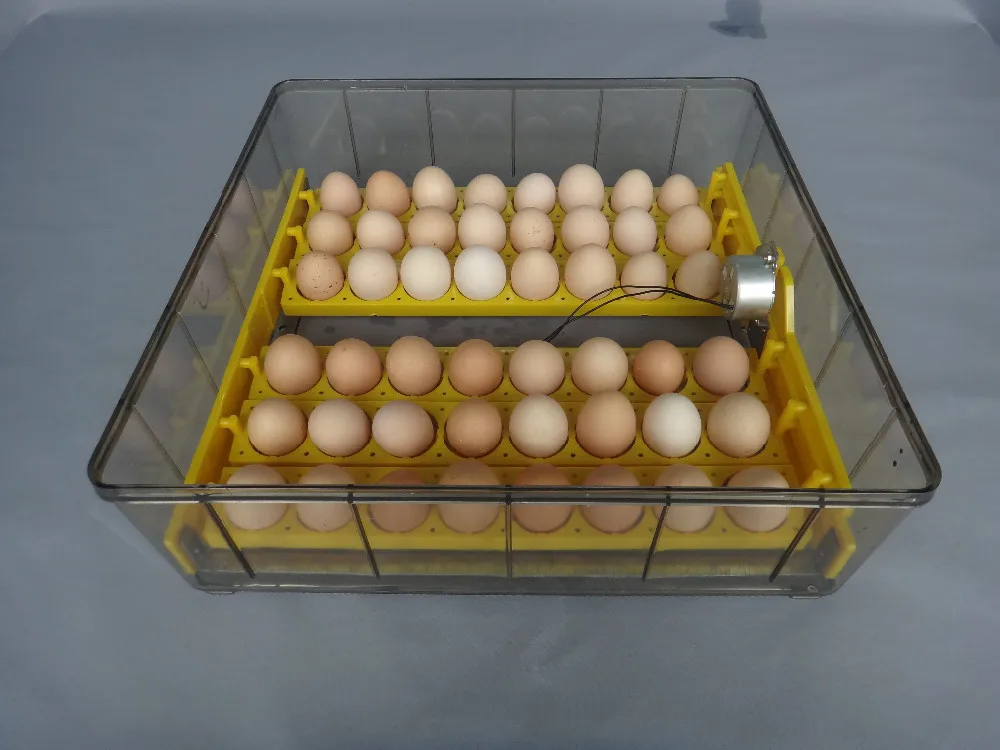 Куры несушки инкубаторы. Инкубация индюшачьих яиц инкубатор Золушка. Инкубация гусиных яиц в инкубаторе Несушка. Гусиные яйца в инкубаторе. Гусиное яйцо инкубационное инкубация.
