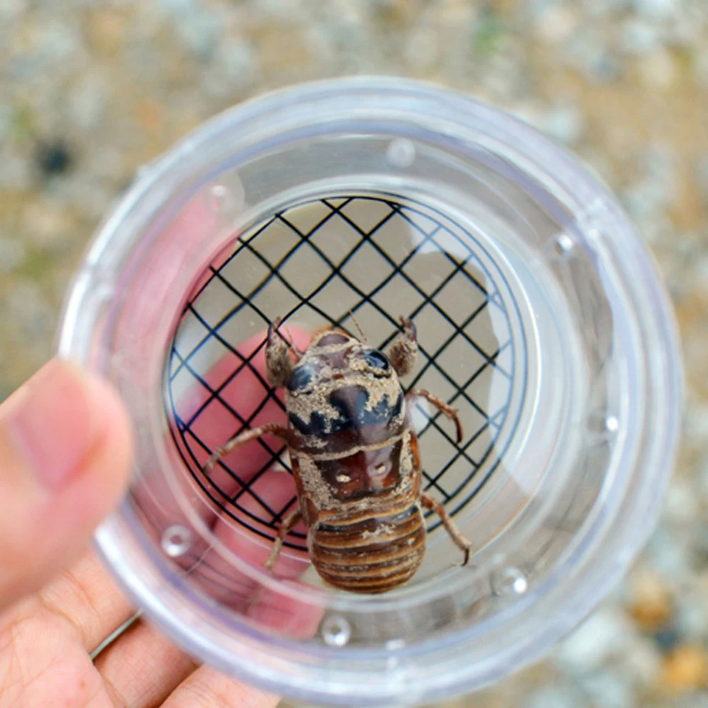 

Insect Observation Box Insect Magnification Observation Cup Toys Magnification Kindergarten Elementary Science Experiment Aids