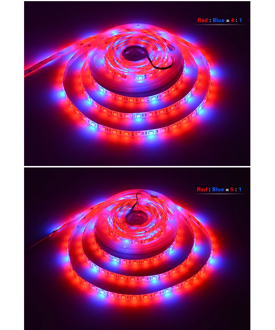 5 м 12 В Светодиодная лампа для выращивания растений светодиодные полосы гидропонные системы SMD 5050 60 светодиодный/м лампы для выращивания теплиц растений водонепроницаемые