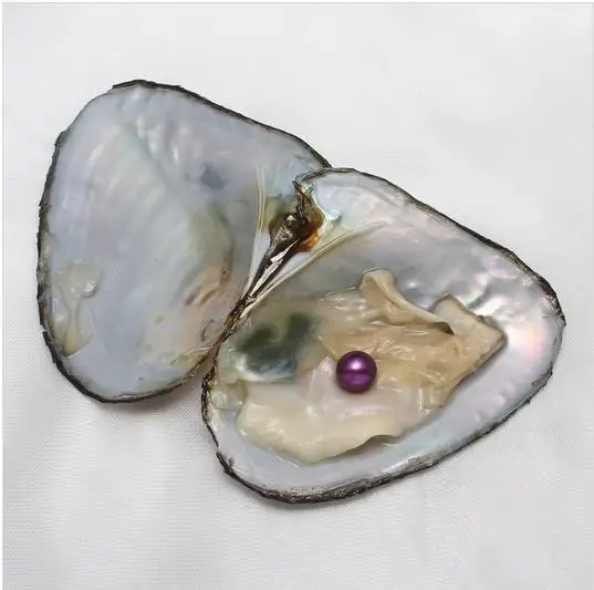 10PC Akoya Love Wish Pearl Oysters with Round Pearl Inside 10 Color Saltwater Cultured Birthday Mothers Easter Gift Pearl Wedding Party 7-8mm