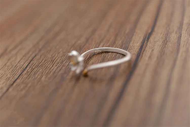 4756316454_902822302