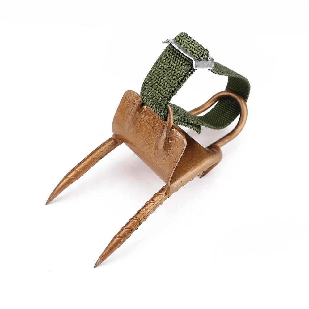 aa