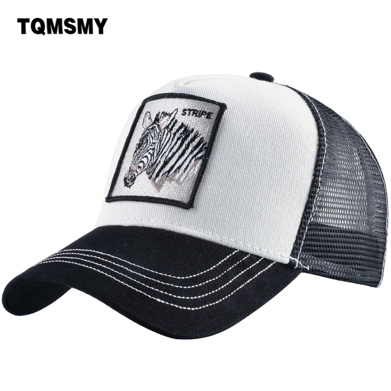 Бейсболка с зебровым принтом. Кепка с зеброй. Что дает зебра кепка. Кепка с зеброй. 16 zebra летняя кепка.