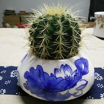 

Creative hand-painted ceramic vase flower blue and white porcelain flower personality in modern Dehua porcelain arts and crafts