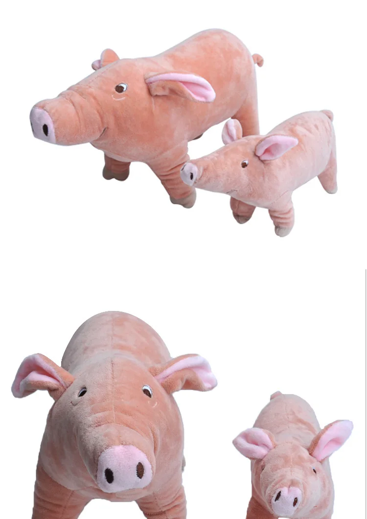 9112727768_973676538