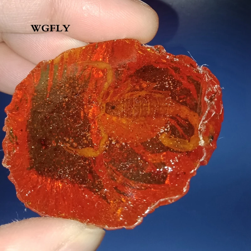 w (5)