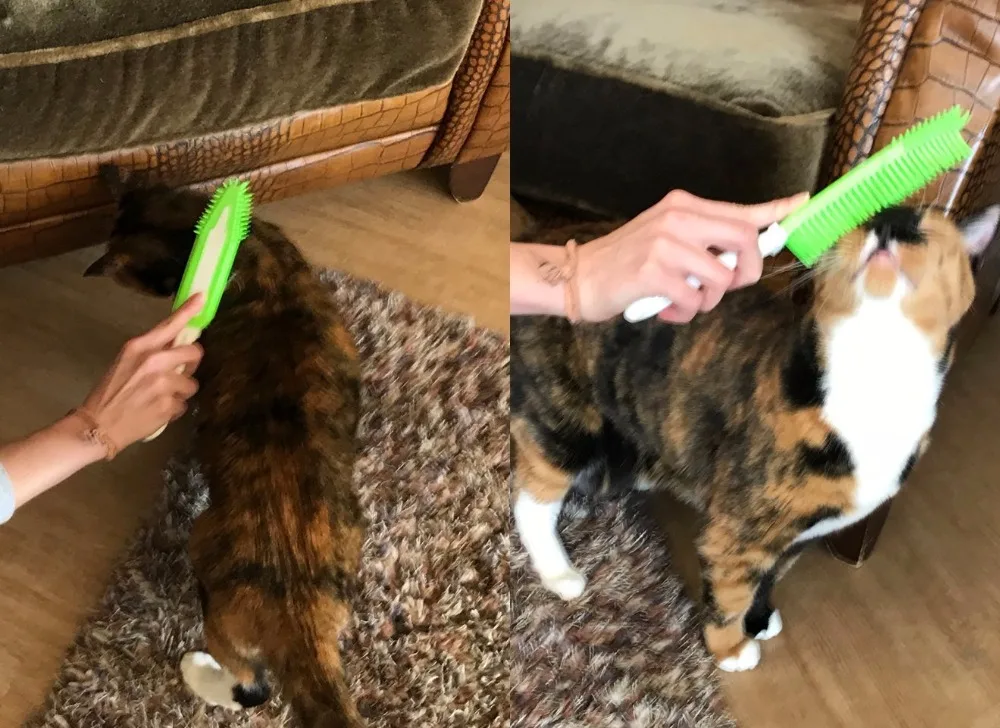 Cat Hair Remover Brush (3)
