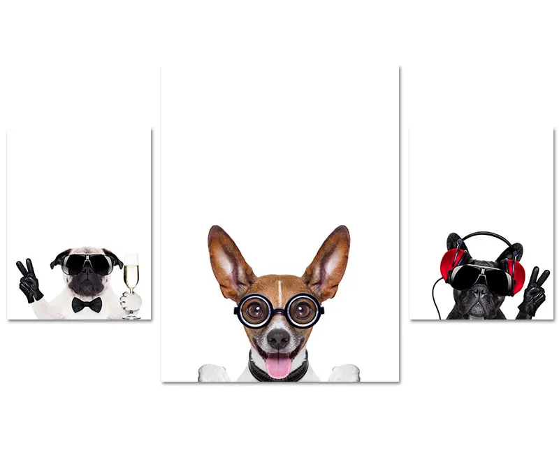 All-blue--800----_02