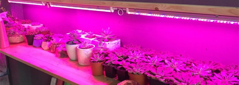 LED Grow (4)