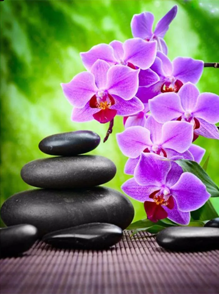 

5D DIY Diamond Painting Orchid And Stone Full Diamond Embroidery Cross Stitch Rhinestone Mosaic Painting Decor Christmas Gift