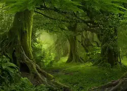 Джунгли сафари дерево лес Виниловый фон для фотосъемок ткань высокого качества компьютер вечерние фотостудия фон