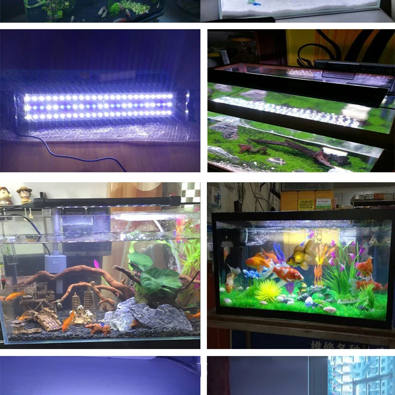 aquarium lights (1)