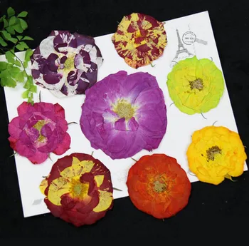 

32pcs Pressed Dried Colorful Rose Flower Head Plants Herbarium For Jewelry Postcard Phone Case Photo Frame Craft DIY Making