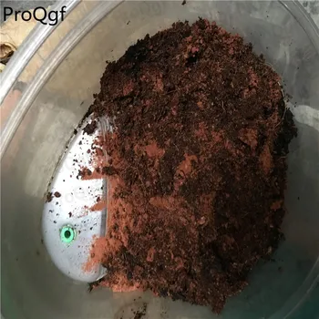 

100Gram A Set red black soil and coconut brick mixed succulent soil
