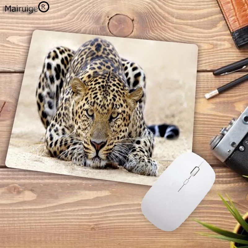 32leopard-desktop-background-leopard-desktop-background-leopard-computer-backgrounds-snow-leopard-desktop-background-leopard-desktop-wallpaper (2)