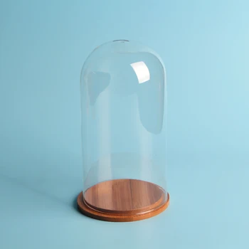

wooden stand Glass cover Decoration transparent dome dust cover glass vase education equipment height 25cm diameter 15cm