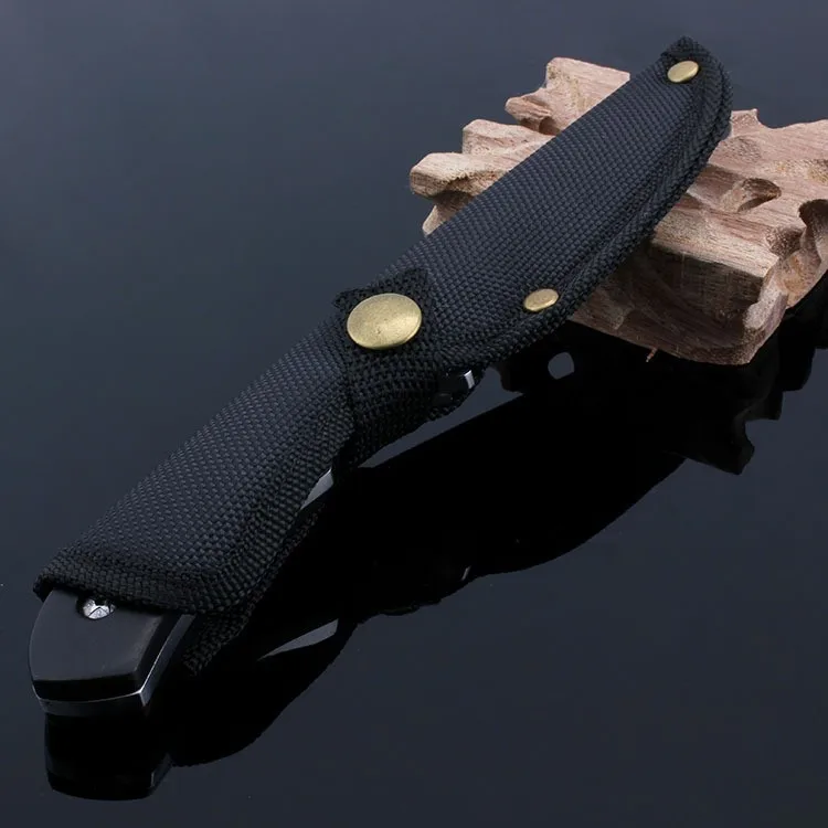 1913645428_731435421