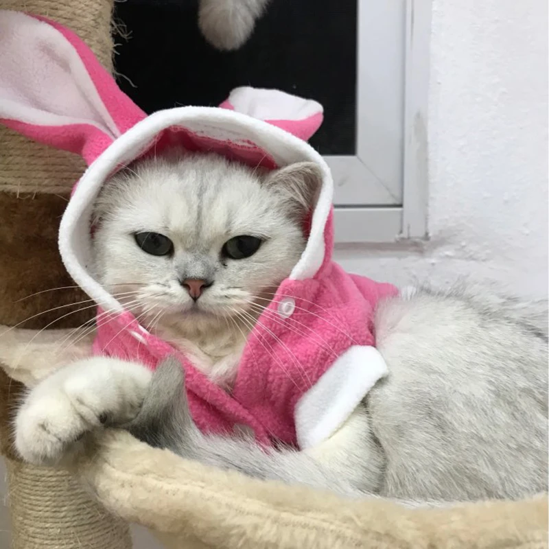 Мягкий флисовый костюм кролика для кошек симпатичное пальто удобная одежда