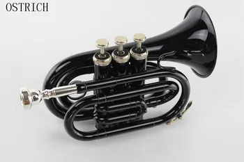 

2017 New Popular OSTRICH Queen Brass Pocket Trumpet Finish Bb Pitch W/Case Gold and Black