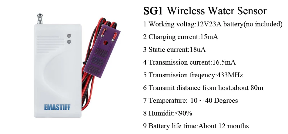 SG1