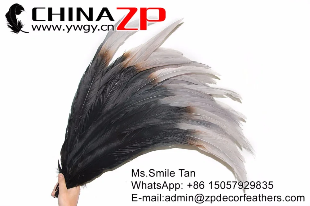 65-70cm silver pheasant feathers with grey tip (18)