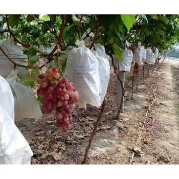 

50Pcs/Lot Garden Vegetable Grapes Apples Fruit Protection Bag Pouch Agricultural Pest Control Anti-Bird Mesh Bags